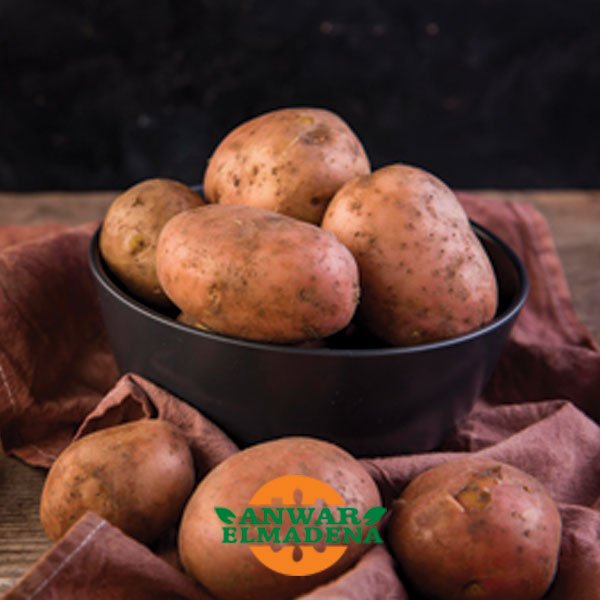 Potato-anwar-elmadena